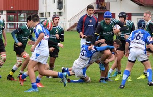 Avec panache et réalisme 